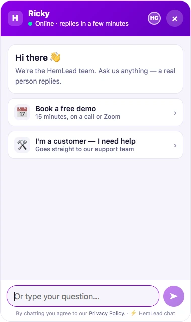 The HemLead chat window: team member's name and online status, a welcome message, quick buttons and a message box